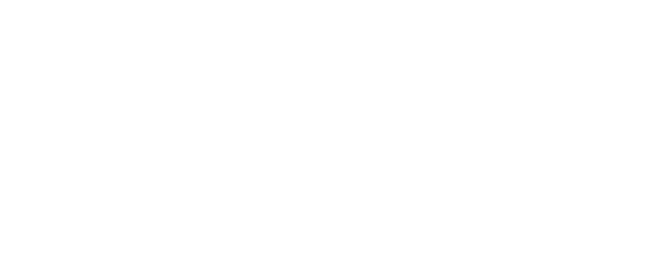 Zetics